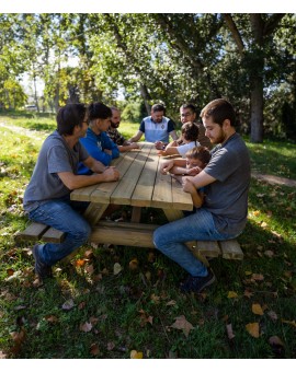 Taula de picnic adaptada MASGAMES LYON